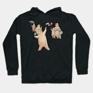 BEARS Hoodie